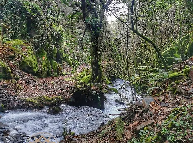 Hébergement de vacances Chr Talasnal_casa Da Pedra *